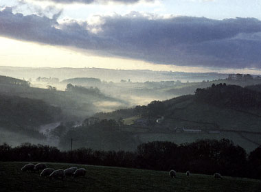 Devon landscape. Photo by James Ravilious © The Beaford Centre. 